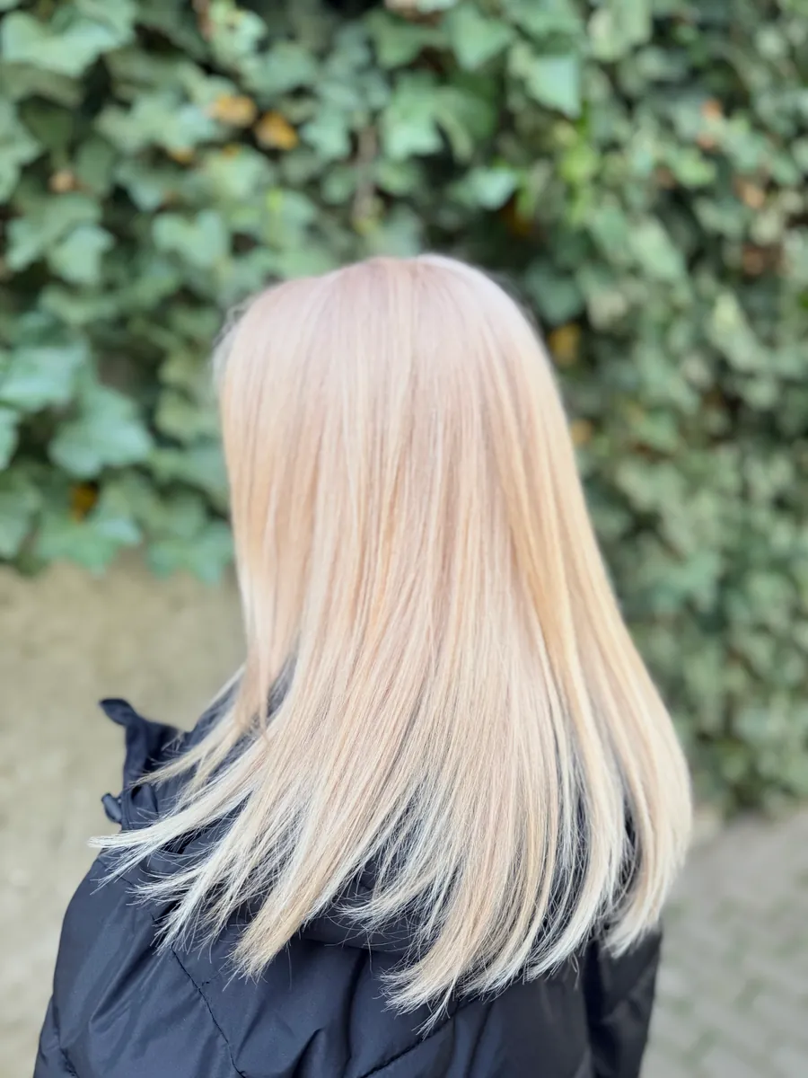 Lucrare salon 15